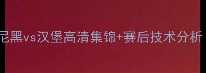 图片 德甲焦点战：拜仁慕尼黑vs汉堡高清集锦+赛后技术分析（附历史交锋数据）2