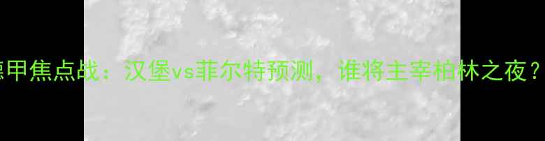 图片 德甲焦点战：汉堡vs菲尔特预测，谁将主宰柏林之夜？1