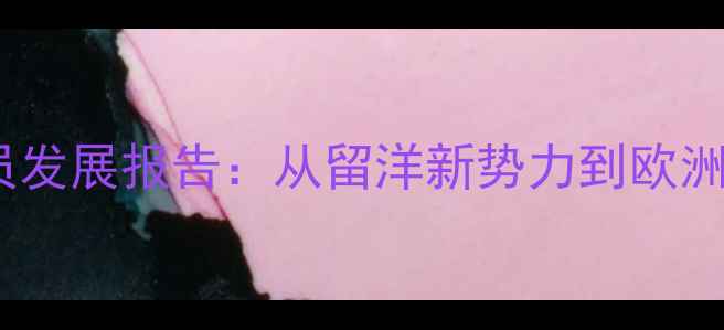 图片 德甲联赛韩国球员发展报告：从留洋新势力到欧洲主流的进阶之路1