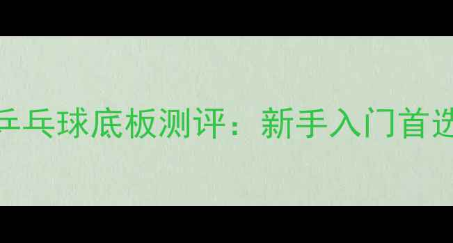 图片 必入！柳白金乒乓球底板测评：新手入门首选的性价比之王