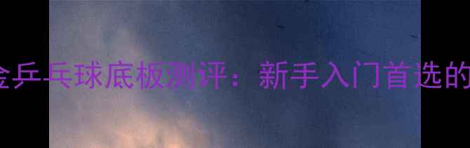 图片 必入！柳白金乒乓球底板测评：新手入门首选的性价比之王1