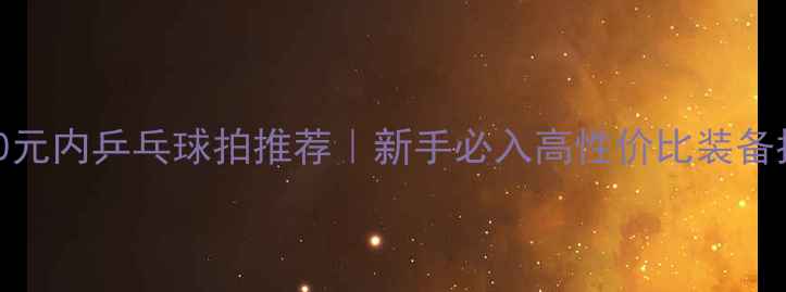 图片 必看100元内乒乓球拍推荐｜新手必入高性价比装备指南🏓1