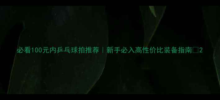 图片 必看100元内乒乓球拍推荐｜新手必入高性价比装备指南🏓2