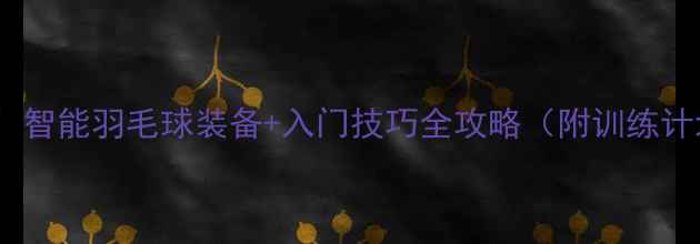 图片 必看！智能羽毛球装备+入门技巧全攻略（附训练计划）1