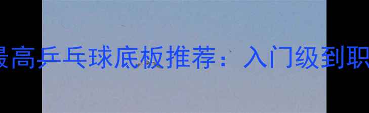 图片 性价比最高乒乓球底板推荐：入门级到职业级全2