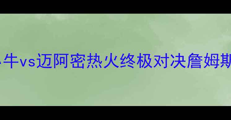 图片 总决赛前瞻：达拉斯小牛vs迈阿密热火终极对决詹姆斯VS东契奇巅峰碰撞全2