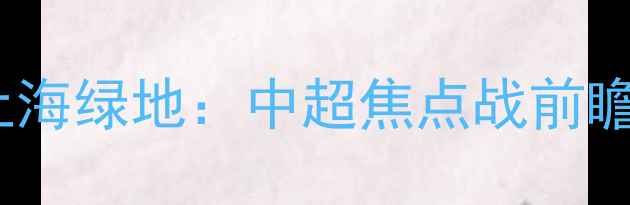 图片 恒大VS上海绿地：中超焦点战前瞻与深度1