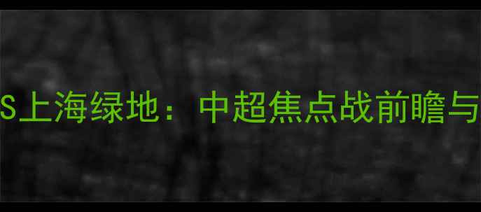 图片 恒大VS上海绿地：中超焦点战前瞻与深度2
