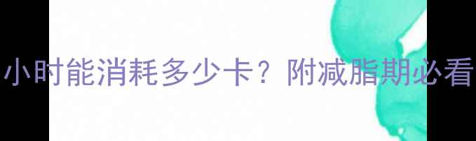 图片 打羽毛球1小时能消耗多少卡？附减脂期必看训练攻略2