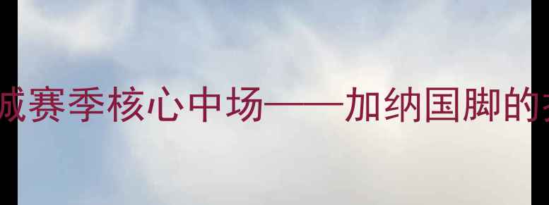 图片 托马斯·帕特耶：曼城赛季核心中场——加纳国脚的技术特点与战术地位1