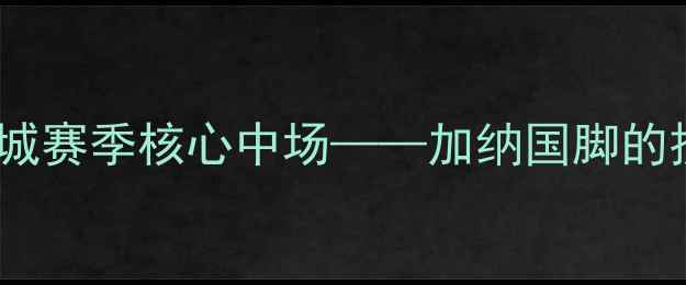 图片 托马斯·帕特耶：曼城赛季核心中场——加纳国脚的技术特点与战术地位2