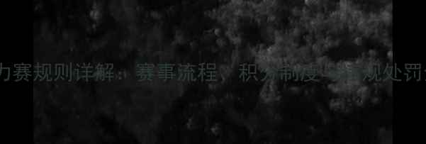 图片 拉力赛规则详解：赛事流程、积分制度与违规处罚全1