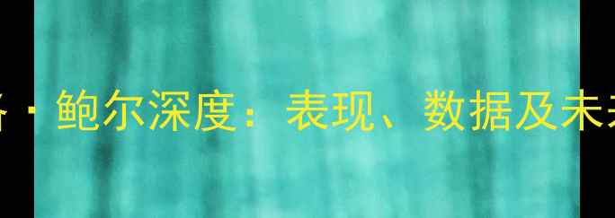 图片 拉梅洛·鲍尔深度：表现、数据及未来展望