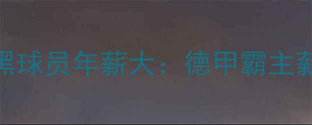 图片 拜仁慕尼黑球员年薪大：德甲霸主薪资结构全