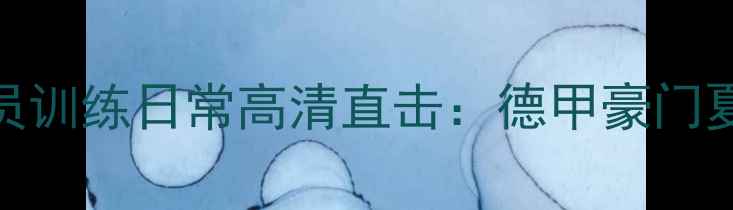 图片 拜仁慕尼黑球员训练日常高清直击：德甲豪门夏季备战全攻略