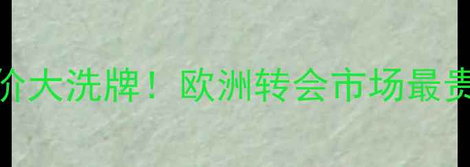 图片 拜仁球员身价大洗牌！欧洲转会市场最贵前十全💰🔥