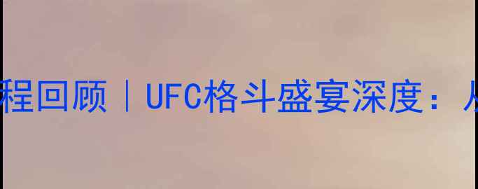 图片 拳王康纳·麦格雷戈全赛程回顾｜UFC格斗盛宴深度：从登台到卫冕的逆袭之路1