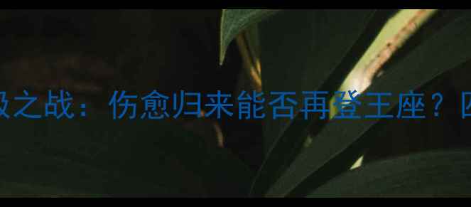 图片 拳王康纳终极之战：伤愈归来能否再登王座？四大对手深度