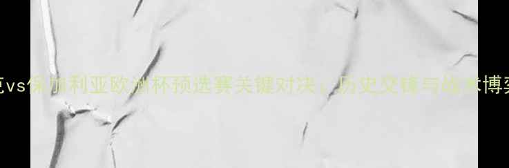 图片 捷克vs保加利亚欧洲杯预选赛关键对决：历史交锋与战术博弈全