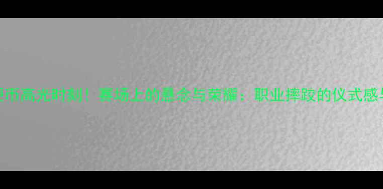 图片 摔跤比赛抛硬币高光时刻！赛场上的悬念与荣耀：职业摔跤的仪式感与竞技精神全