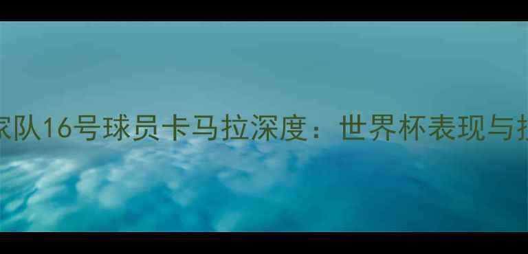 图片 摩洛哥国家队16号球员卡马拉深度：世界杯表现与技术特点全