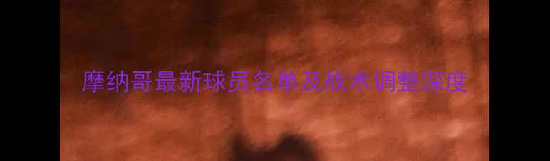 图片 摩纳哥最新球员名单及战术调整深度
