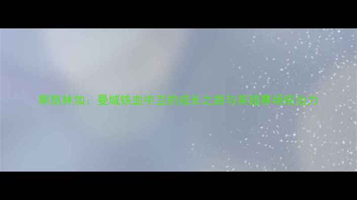 图片 斯凯林加：曼城铁血中卫的成长之路与英超赛场统治力