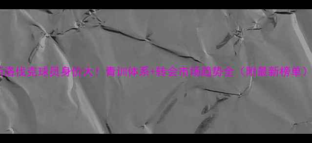 图片 斯洛伐克球员身价大！青训体系+转会市场趋势全（附最新榜单）1