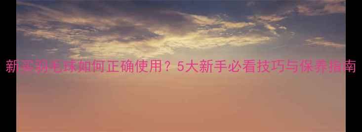 图片 新买羽毛球如何正确使用？5大新手必看技巧与保养指南