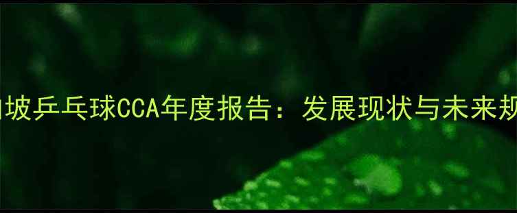 图片 新加坡乒乓球CCA年度报告：发展现状与未来规划1