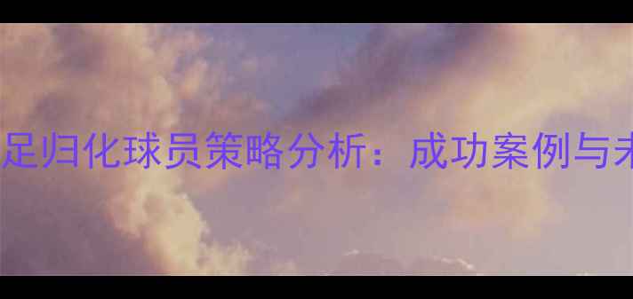 图片 新加坡男足归化球员策略分析：成功案例与未来挑战2