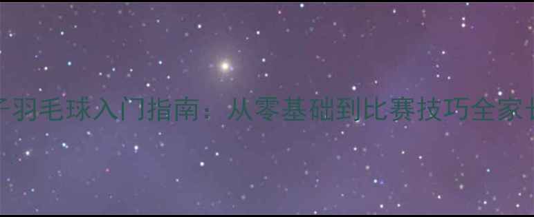 图片 新手家长必看3-12岁孩子羽毛球入门指南：从零基础到比赛技巧全家长陪练手册+训练计划表1