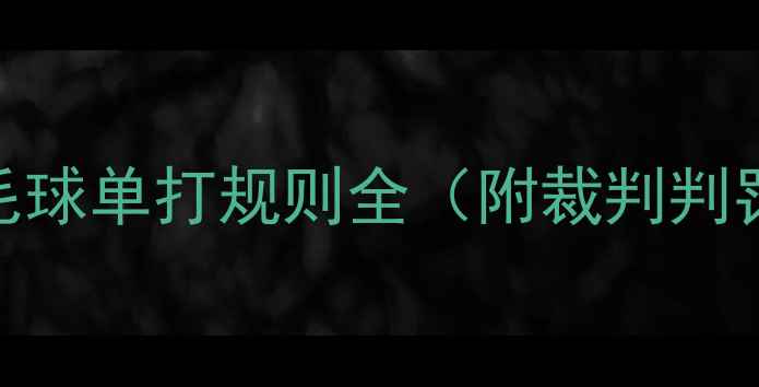 图片 新手必看！中国羽毛球单打规则全（附裁判判罚标准+得分技巧）2
