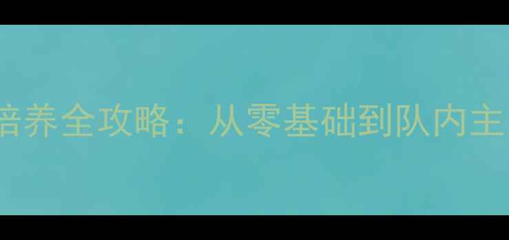 图片 新手必看！羽毛球储备队员培养全攻略：从零基础到队内主力，3步解锁职业化训练秘籍