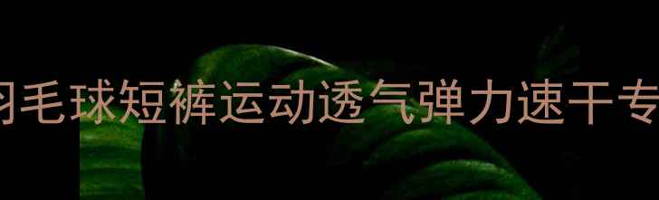 图片 新款黑色羽毛球短裤运动透气弹力速干专业训练款2