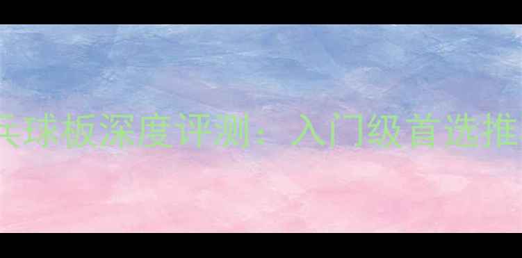 图片 新波尔乒乓球板深度评测：入门级首选推荐及性能1