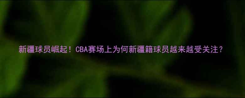 图片 新疆球员崛起！CBA赛场上为何新疆籍球员越来越受关注？