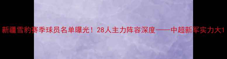 图片 新疆雪豹赛季球员名单曝光！28人主力阵容深度——中超新军实力大1
