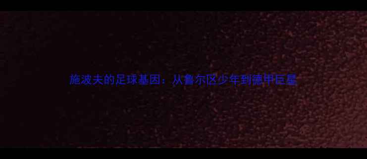 图片 施波夫的足球基因：从鲁尔区少年到德甲巨星