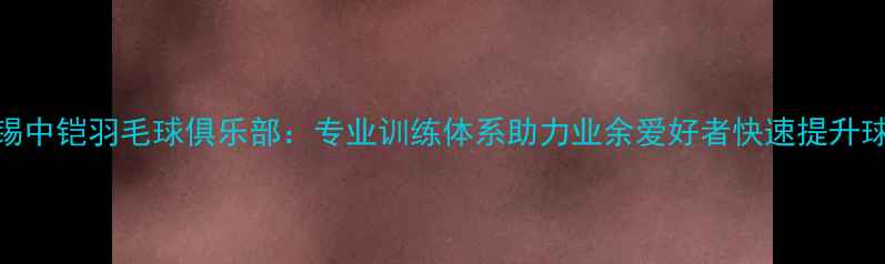 图片 无锡中铠羽毛球俱乐部：专业训练体系助力业余爱好者快速提升球技