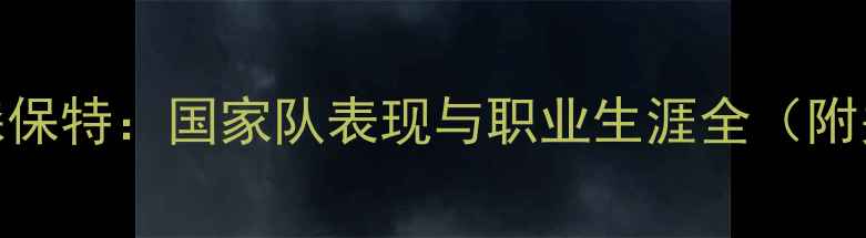 图片 日本10号球员森保特：国家队表现与职业生涯全（附关键比赛数据）