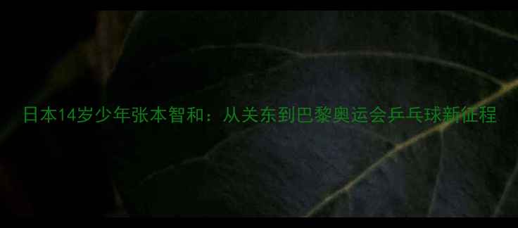图片 日本14岁少年张本智和：从关东到巴黎奥运会乒乓球新征程