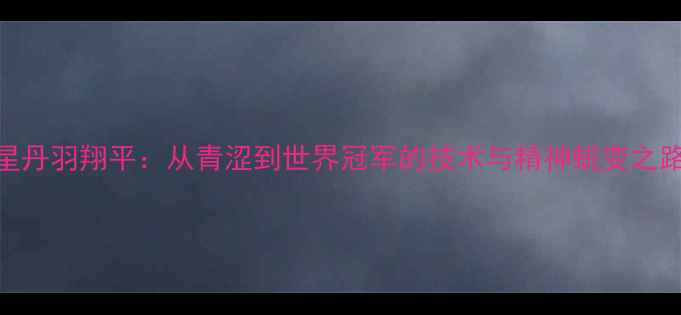 图片 日本乒乓球新星丹羽翔平：从青涩到世界冠军的技术与精神蜕变之路（最新动态）