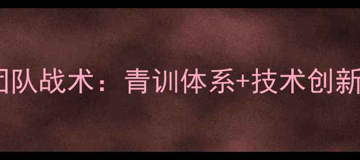 图片 日本乒乓球队教练团队战术：青训体系+技术创新驱动奥运卫冕之路2