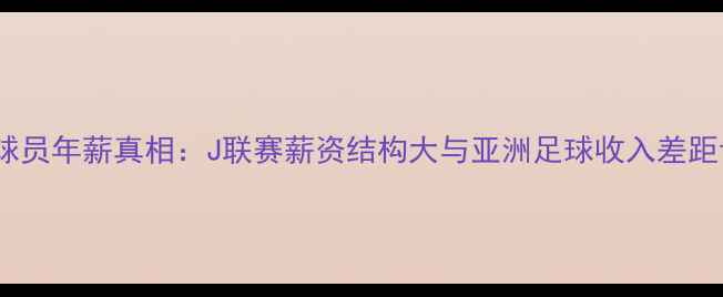 图片 日本球员年薪真相：J联赛薪资结构大与亚洲足球收入差距调查1