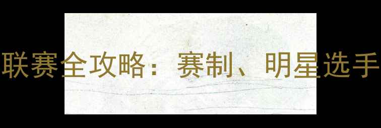 图片 日本羽毛球J联赛全攻略：赛制、明星选手与未来展望2