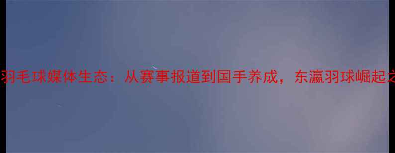 图片 日本羽毛球媒体生态：从赛事报道到国手养成，东瀛羽球崛起之路1