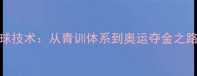 图片 日本羽毛球技术：从青训体系到奥运夺金之路的全方位
