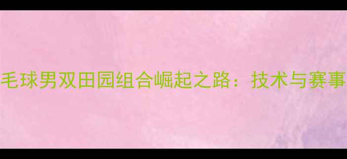 图片 日本羽毛球男双田园组合崛起之路：技术与赛事成绩全