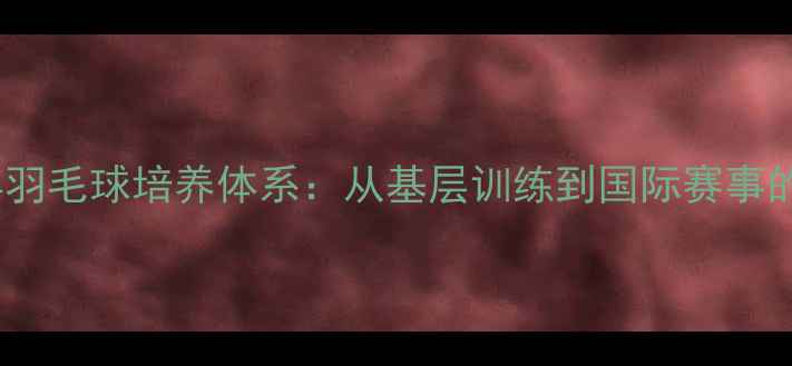 图片 日本青少年羽毛球培养体系：从基层训练到国际赛事的崛起之路1